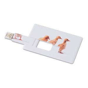 Kreditna kartica. USB flash memorija 4 GB