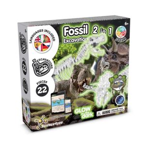 2 in 1 Fossil Excavation Kit V. Edukativna igra isporučuje se sa sklopivom poklon vrećicom od 190T